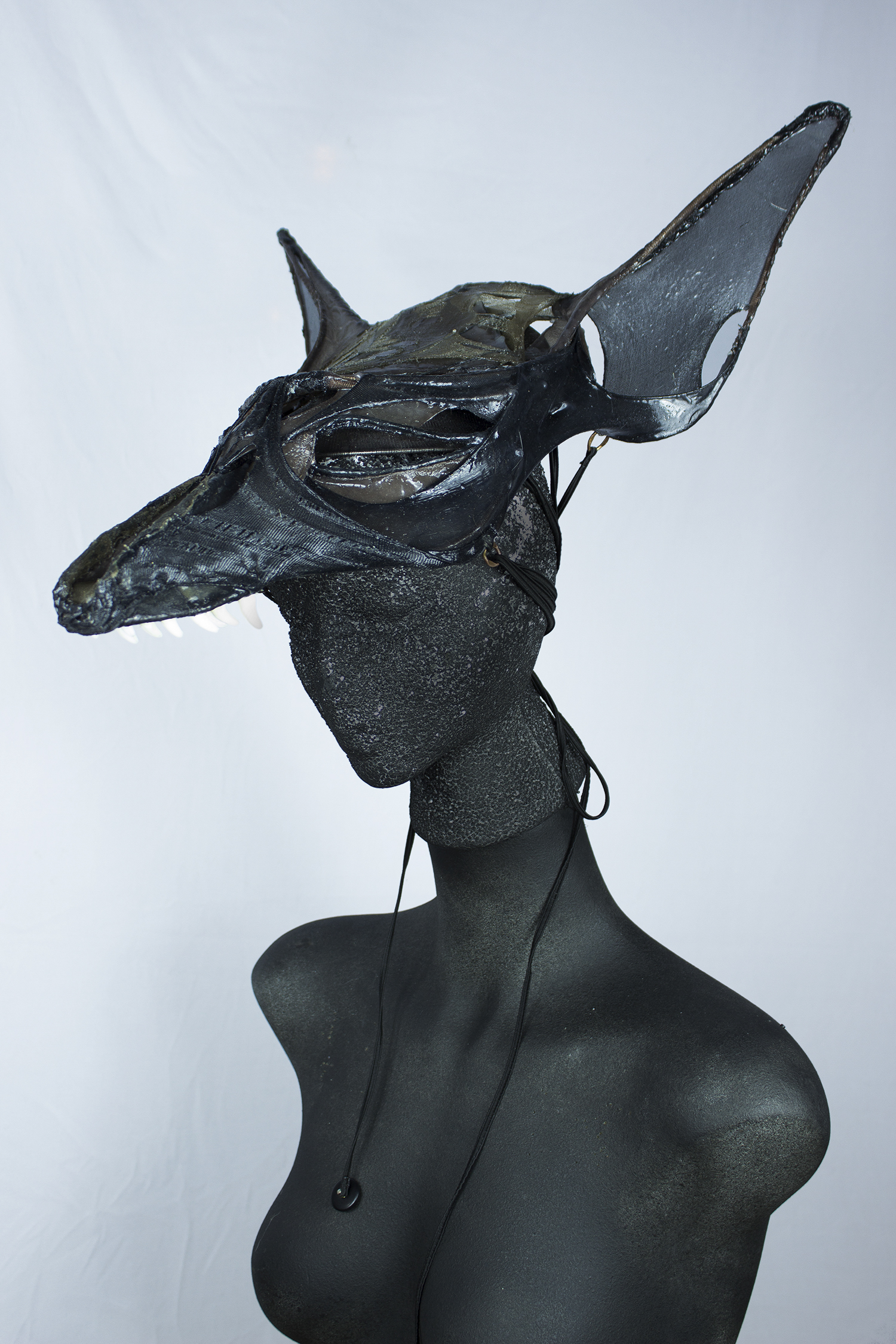 Anubis3.jpg